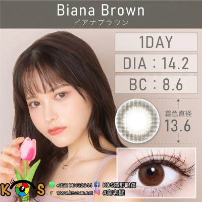 TeAmo 1Day Biana Brown ティアモ ワンデー ビアナブラウン TeAmo 1Day Biana Brown ティアモ ワンデー ビアナブラウン